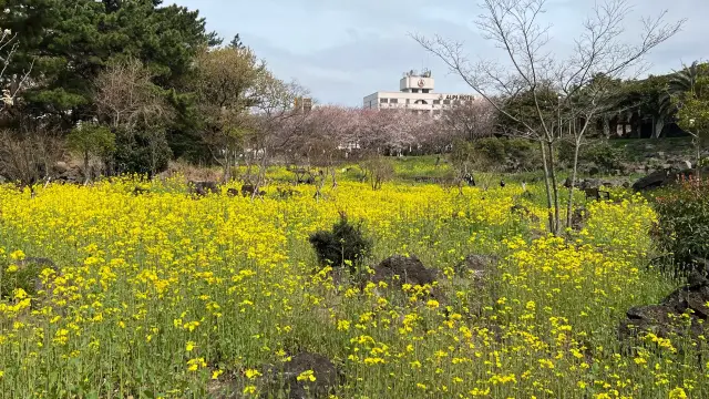 제주 신산공원