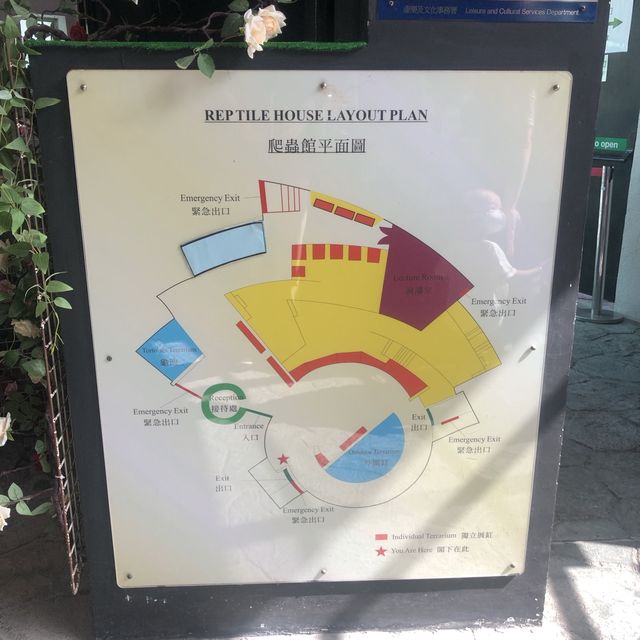 認識爬蟲類好地方