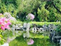 荔枝角公園