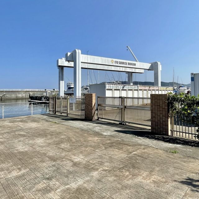 海を見ながら食べると幸せになるアイスクリーム