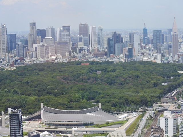 渋谷地上46階の景色