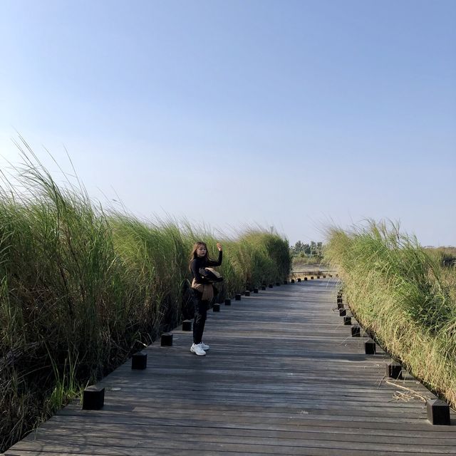 Viện bảo tàng ngay Jiayi 