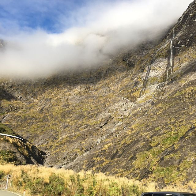 뉴질랜드 대자연의 정점, 피오르드랜드 국립공원🏔🇳🇿
