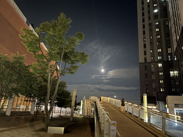 🇰🇷시티뷰가 예술인 곳~🏩