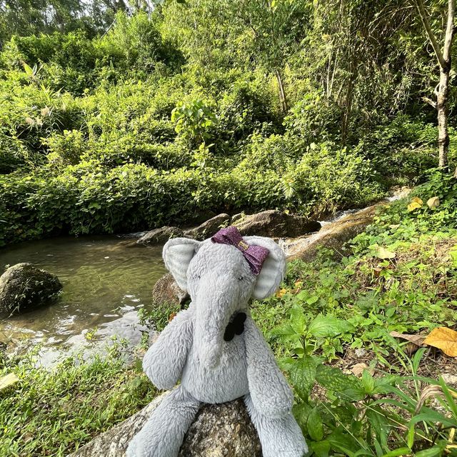 Miss Elly hanging out at Manik Dam Phuket.