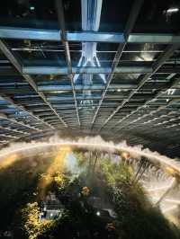 คืนสวยๆ ที่ Flower Dome สิงคโปร์ 🍃🌃