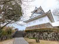 Kitsuki Castle