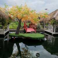 ร้านนั่งชิว  วิวทุ่งนา