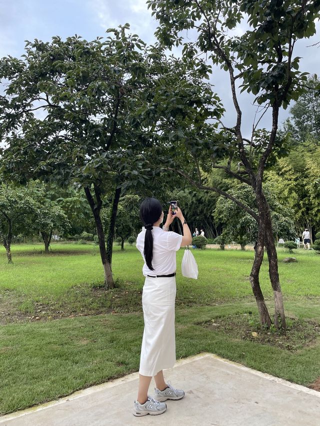 숲 뷰가 예쁜 대형 담양 카페