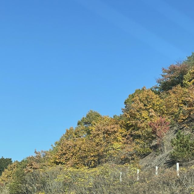 【兵庫県】紅葉と塩味饅頭を楽しむ