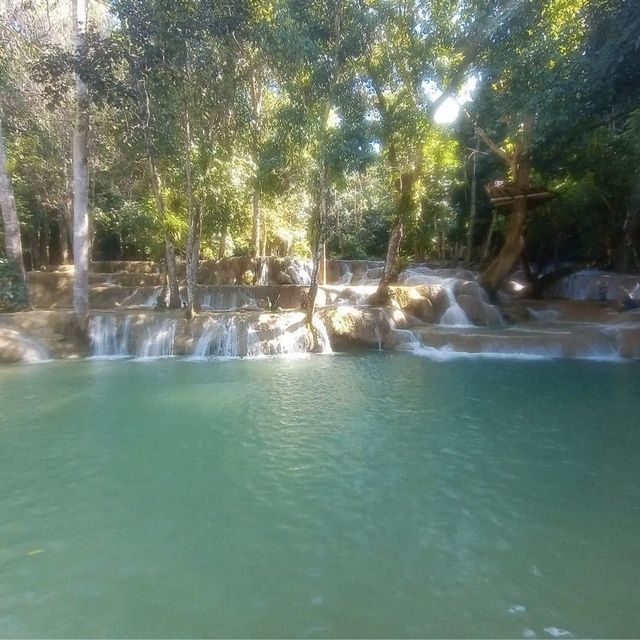 Exploring the Nature At Tad Sae Waterfalls 