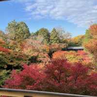 【京都府】通天橋から望む絶景の紅葉