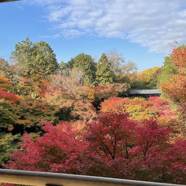 【京都府】通天橋から望む絶景の紅葉