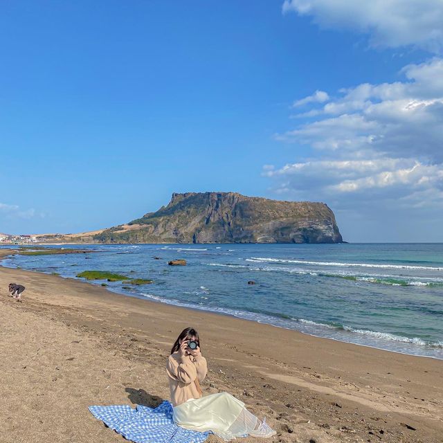 제주 겨울 여행지 추천💙