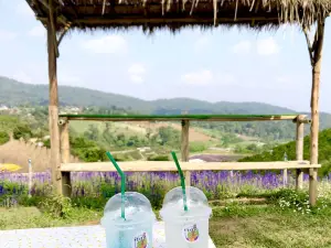 บ้านสวนแม่ริม - Baan Suan Mae Rim