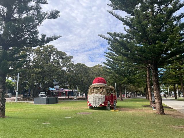 Mandurah Eastern Foreshore Park😎🧑‍🎄💙❤️