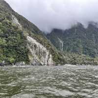 NZ 紐西蘭 南島 米佛峽灣 Milford Sound
