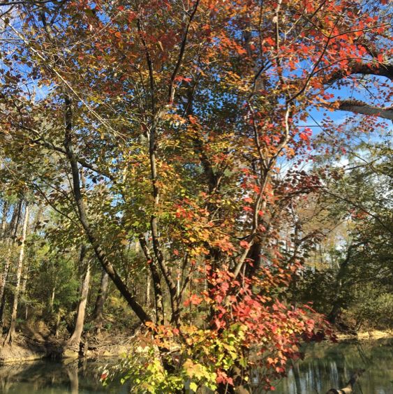 Hinson Conservation & Recreation Area