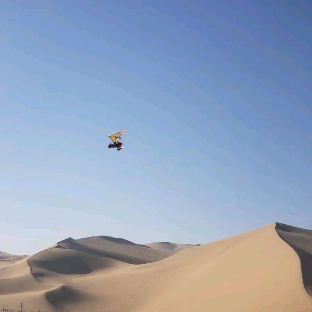 Desert fun