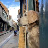 York old town