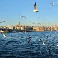 Bosphorus, Istanbul, Turkey 