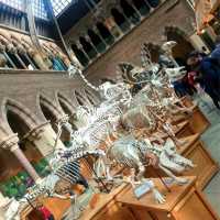 Oxford University Museum of Natural History 