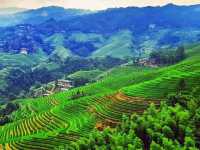 Longji Rice Terraces; a bus ride to remember