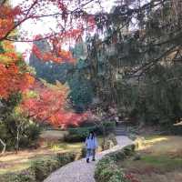 The Flower Path Garden Ruqin Lake Jiangxi