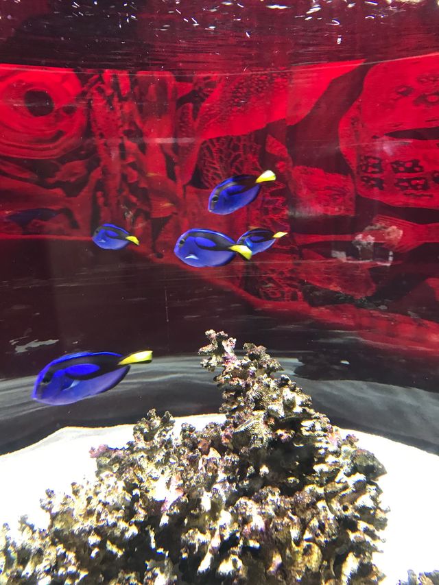 綜合的購物消閒旅遊點
