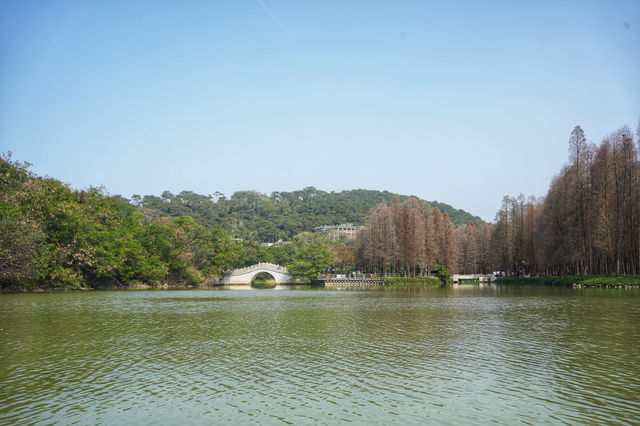 Recommend taking the elderly and children to Qixingyan Wetland Park for fun.