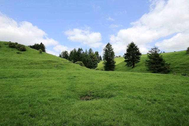 New Zealand's purest Blue Spring