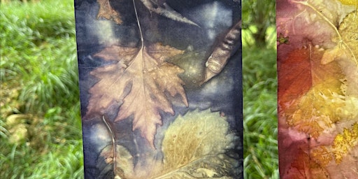Botanical Printing with Elisabeth Viguie Culshaw | Off The Rails Arthouse