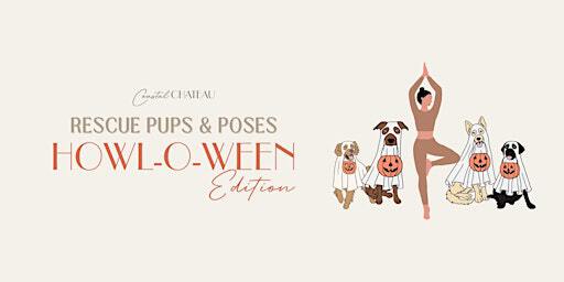 Pups & Poses: HOWL-O-WEEN Rooftop Flow with Rescue Dogs | Coastal Chateau