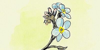 Wildlife in watercolours | St Nicholas Park
