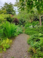 Nature Vibes:Biofield Tuning and  Plant Journeys workshop | Crombie Point