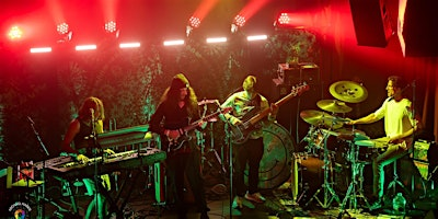 The Reality Check Experiment ~ Jam Band | Shere-E-Punjab Indian Restaurant