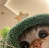 MiaWasOut