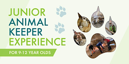 Junior Keeper For a Day 9-12 Years Old | Merrist Wood College