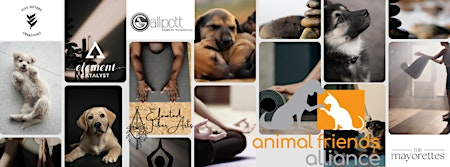 Paws & Poses | The Gallery at Gallipott