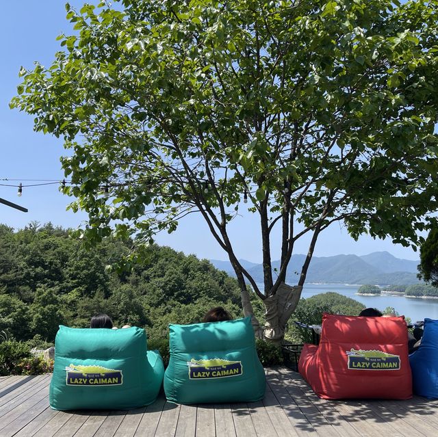 충주 악어 포토존 게으른악어🐊