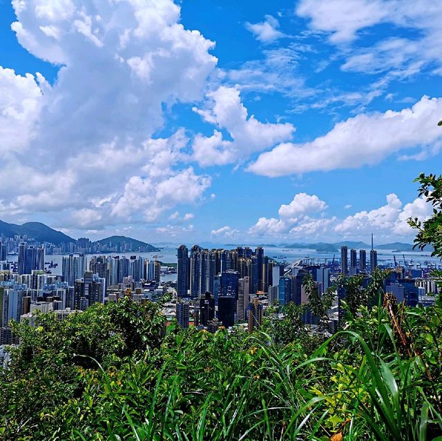 林蔭處處的鷹巢山自然教育徑