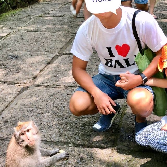 聖猴森林公園