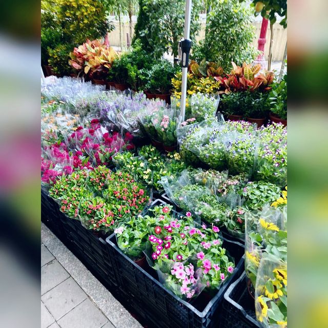 花香撲鼻