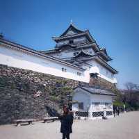 wakayama castle