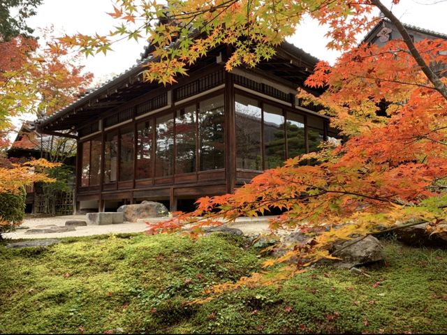 京都[紅葉めぐり] 南禅寺　天授庵- 枯山水庭園にて和む -