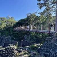 【静岡】スリル満点の「城ヶ崎海岸」の吊橋