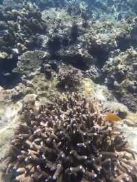 หนีร้อน ไปโดดน้ำ กับ Love Andaman