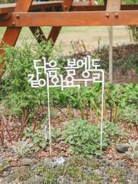 서울 가볼만한 곳, 서울숲