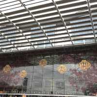 衝出香港🇭🇰開關必去新加坡🇸🇬濱海灣