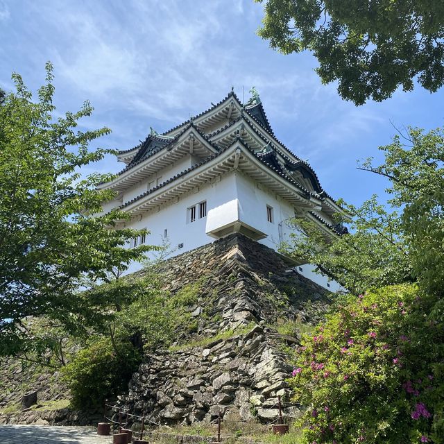 【和歌山】和歌山城